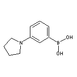 3-(1-吡咯烷基)苯硼酸