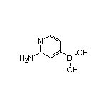 2-氨基吡啶-4-硼酸