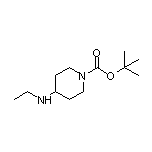 1-Boc-4-(乙氨基)哌啶