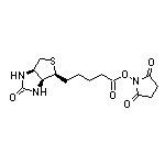 5-[(3aS,4S,6aR)-2-氧代六氢-1H-噻吩并[3,4-d]咪唑-4-基]戊酸(2,5-二氧代-1-吡咯烷基)酯