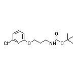 N-Boc-3-(3-氯苯氧基)-1-丙胺