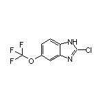 2-氯-5-(三氟甲氧基)苯并咪唑
