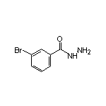 3-溴苯甲酰肼