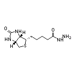 生物素酰肼