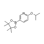 6-异丙氧基吡啶-3-硼酸频哪醇酯