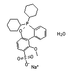 2’-(二环己基膦基)-2,6-二甲氧基-[1,1’-联苯]-3-磺酸钠水合物