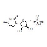 尿苷-5’-单磷酸