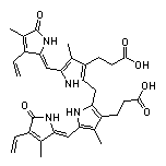 胆红素