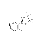 4-甲基吡啶-3-硼酸频哪醇酯