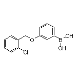 3-[(2-氯苄基)氧基]苯硼酸