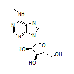 N6-Methyladenosine