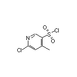 6-氯-4-甲基吡啶-3-磺酰氯