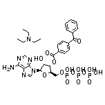 3’-O-(4-苯甲酰基)苯甲酰基腺苷 5’-三磷酸酯