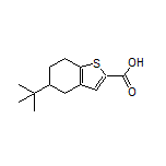 5-(叔丁基)-4,5,6,7-四氢苯并噻吩-2-甲酸