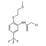 2-Chloro-N-[2-(2-methoxy-ethoxy)-5-trifluoromethyl-phenyl]-acetamide