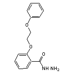 2-(2-Phenoxy-ethoxy)-benzoic acid hydrazide