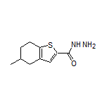 5-甲基-4,5,6,7-四氢苯并噻吩-2-甲酰肼