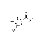 4-氨基-5-甲基噻吩-2-甲酸甲酯