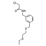 2-chloro-N-({3-[(2-ethoxyethoxy)methyl]phenyl}methyl)acetamide