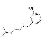 3-{[2-(propan-2-yloxy)ethoxy]methyl}aniline