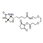 (+)-生物素-PEG2-琥珀酰亚胺酯