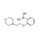 2-[2-(4-吗啉基)乙氧基]苯硼酸