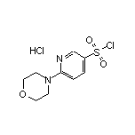 6-(4-吗啉基)吡啶-3-磺酰氯盐酸盐