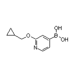 2-(环丙基甲氧基)吡啶-4-硼酸