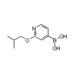 2-异丁氧基吡啶-4-硼酸