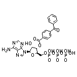 3’-O-(4-苯甲酰基)苯甲酰基腺苷 5’-三磷酸酯