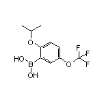 2-异丙氧基-5-(三氟甲氧基)苯硼酸