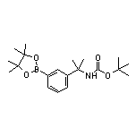 3-[2-(Boc-氨基)-2-丙基]苯硼酸频哪醇酯