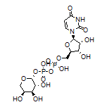 UDP-β-L-阿拉伯糖