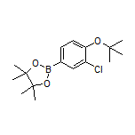 4-(叔丁氧基)-3-氯苯硼酸频哪醇酯