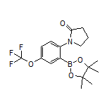 2-(2-氧代-1-吡咯烷基)-5-(三氟甲氧基)苯硼酸频哪醇酯